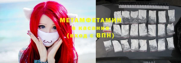 шишки Инта