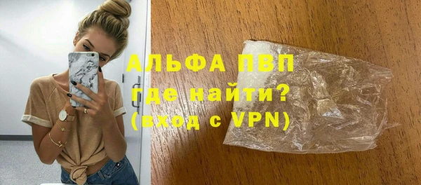 прущие грибы Иннополис